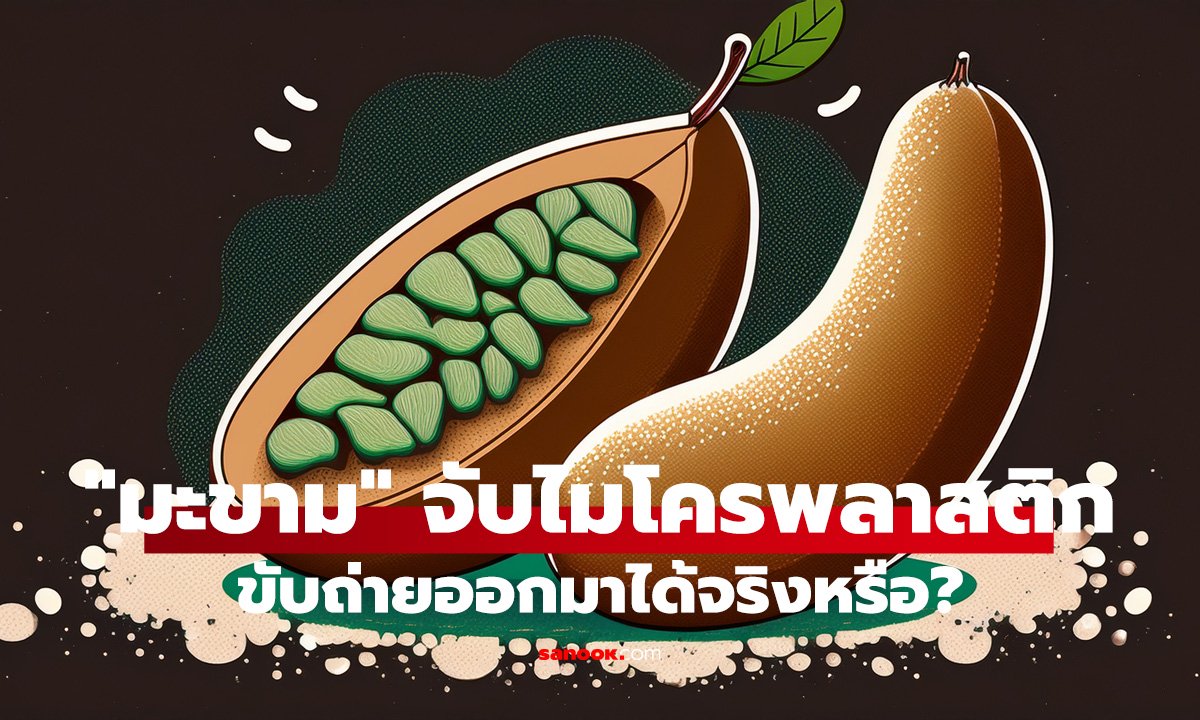 เช็กข่าวชัวร์ : 