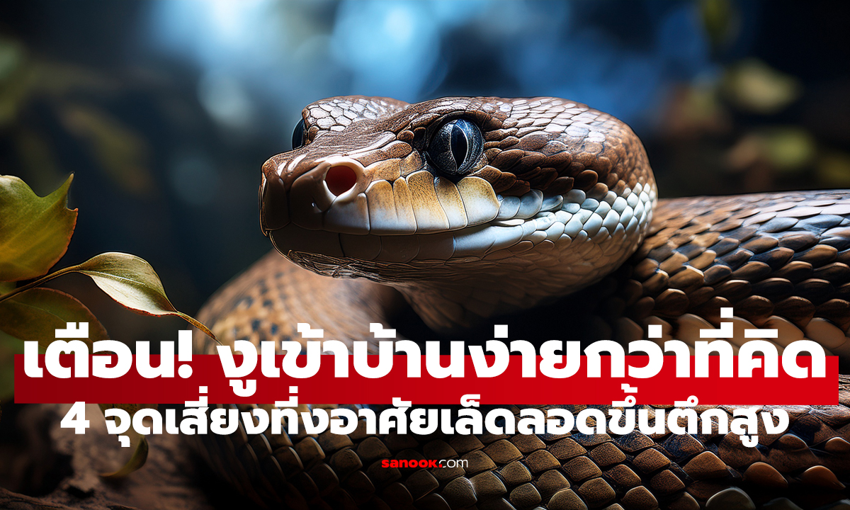 งูโผล่ในเมือง! รู้ทัน 4 ช่องทางลับ เหตุผลที่งุบุกห้อง–คอนโดแบบไม่รู้ตัว