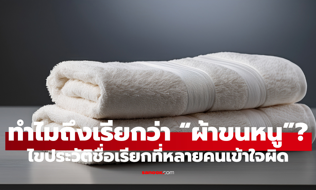 ชื่อไม่ธรรมดา! ผ้าขนหนูมีที่มายังไง? เปิดประวัติจริง ทำไมถึงถูกเรียกแบบนี้