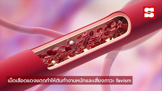 ถั่ว 2 ชนิด คนไทยชอบกินมาก! กินบ่อย 