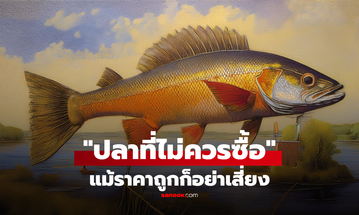 คลิป คนขายปลามาเผยเอง! 5 ลักษณะ 