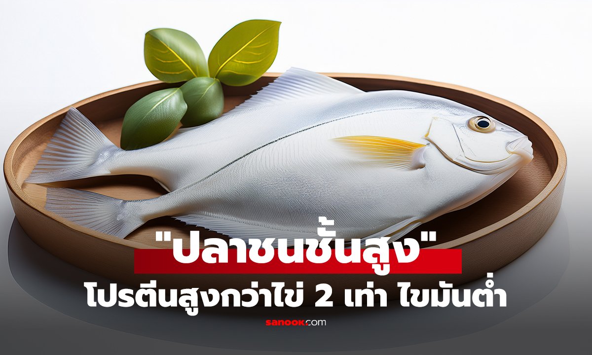 คลิป ปลาที่ได้ฉายา 