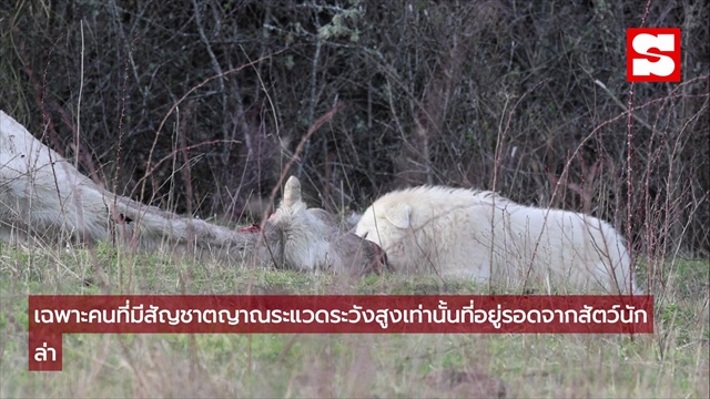 ทำไมมนุษย์ถึงกลัวผี? มุมมอง 