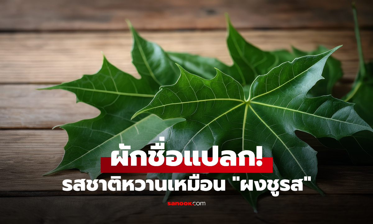 ผักชื่อแปลก! รสชาติหวานเหมือน 