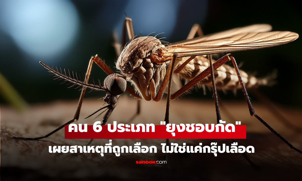 คน 6 ประเภท 