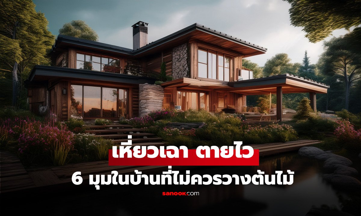 6 มุมในบ้านที่ไม่ควรวางต้นไม้เด็ดขาด ทำต้นไม้เหี่ยวเฉา ตายไว!