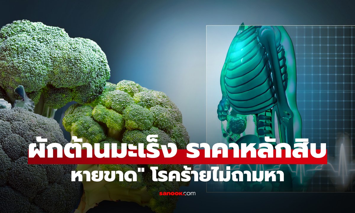 เจอแล้ว 