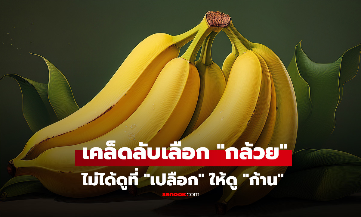 เคล็ดลับเลือก 