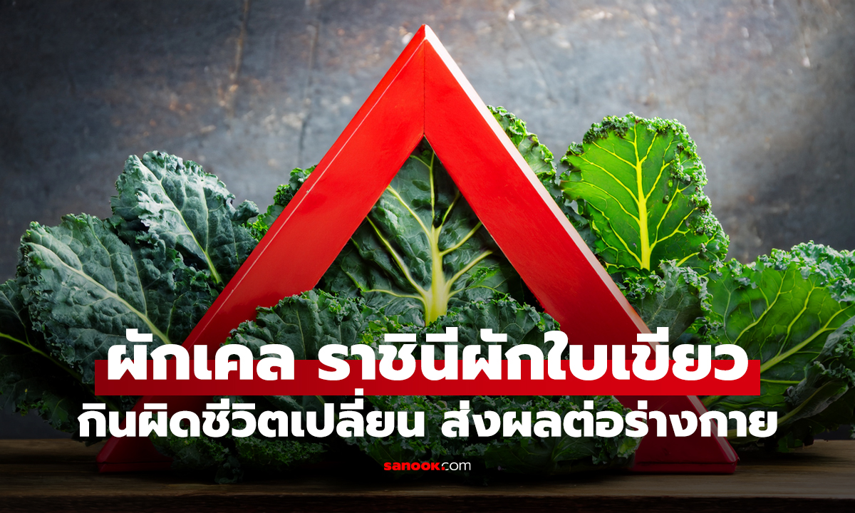"ผักเคล" ราชินีผักใบเขียว กินผิดชีวิตเปลี่ยน ส่งผลต่อร่างกายอย่างไร