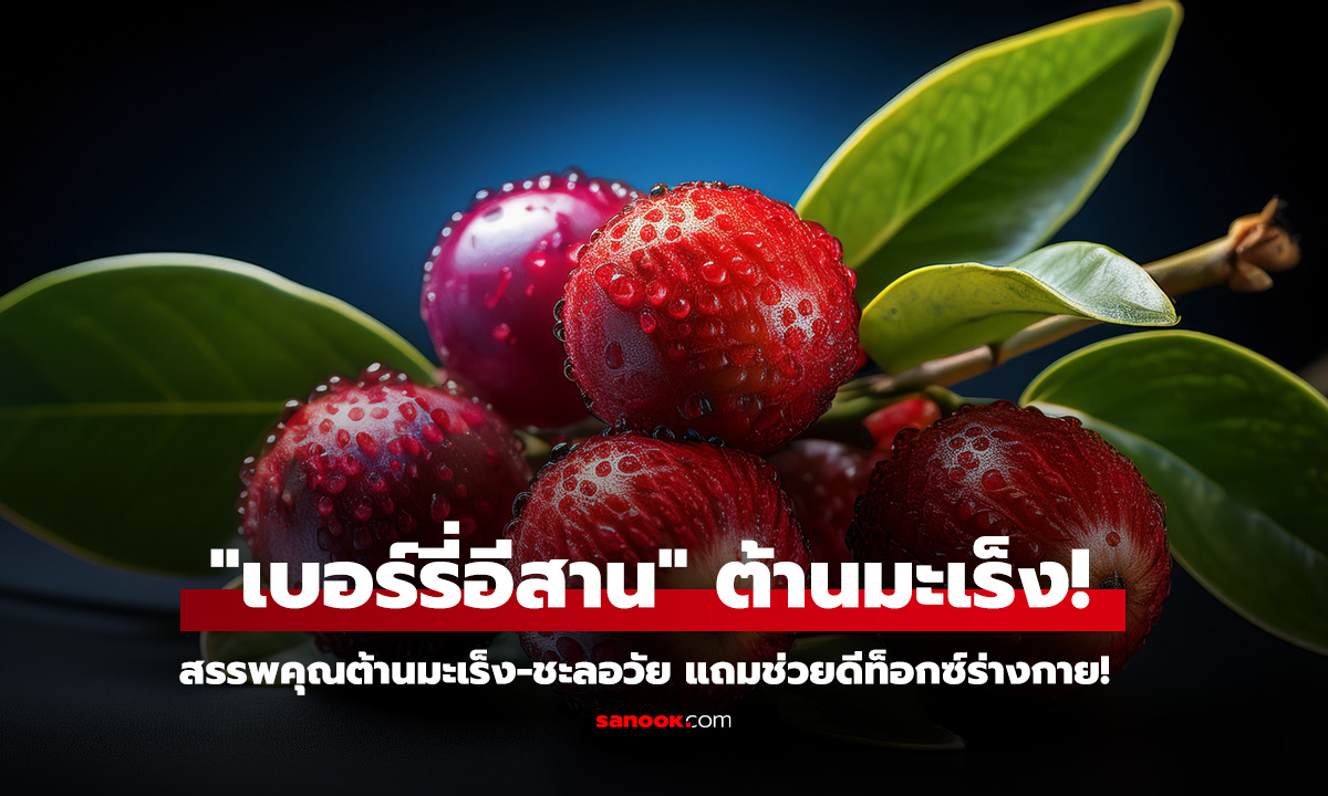 เบอร์รี่อีสาน ต้านมะเร็ง