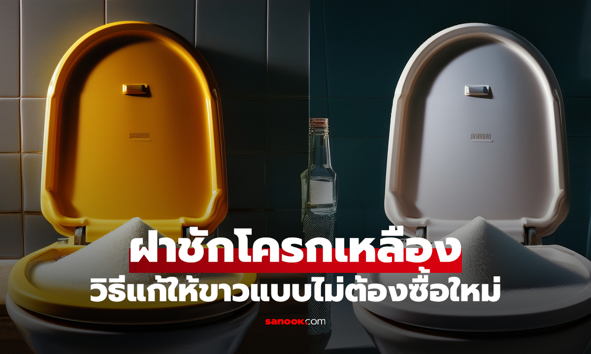 ฝาชักโครกเหลือง วิธีแก้ให้ขาวแบบไม่ต้องซื้อใหม่ ลองแล้วเวิร์ก!