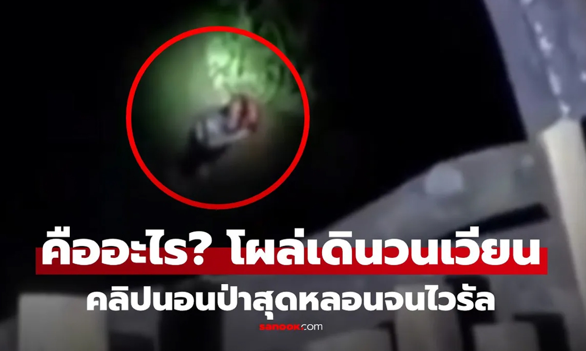 VOD_จริง หรือ คอนเทนต์ คลิปไวรัล ต่างชาติแห่ดูกว่า 30 ล้านครั้ง อะไรในป่าไทย อย่างหลอน!