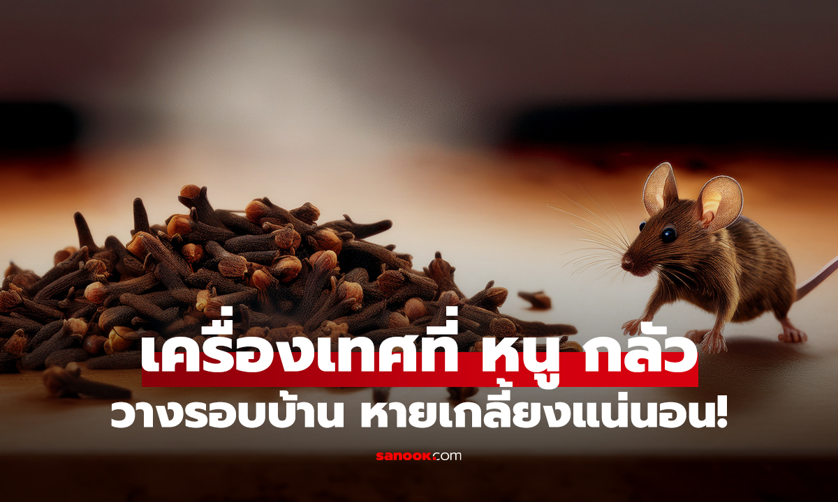 เครื่องเทศในครัวที่ "หนู" กลัวที่สุด วางรอบบ้าน หายเกลี้ยงแน่นอน!