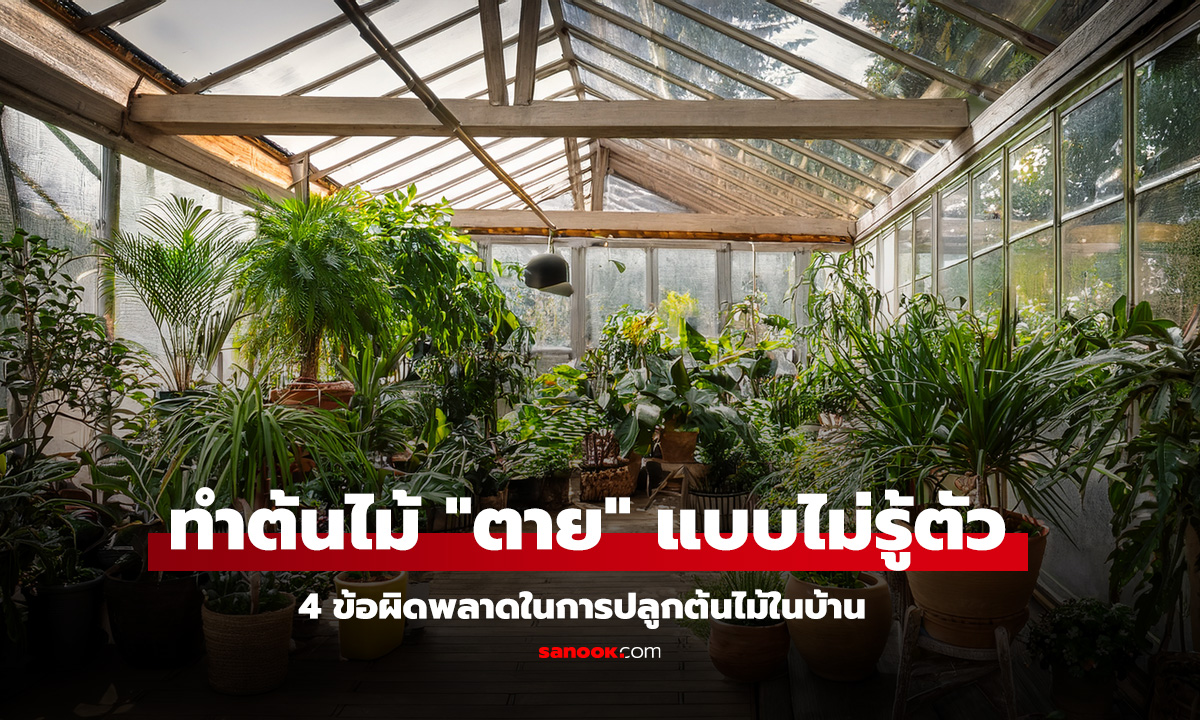 ทำต้นไม้ ตาย แบบไม่รู้ตัว