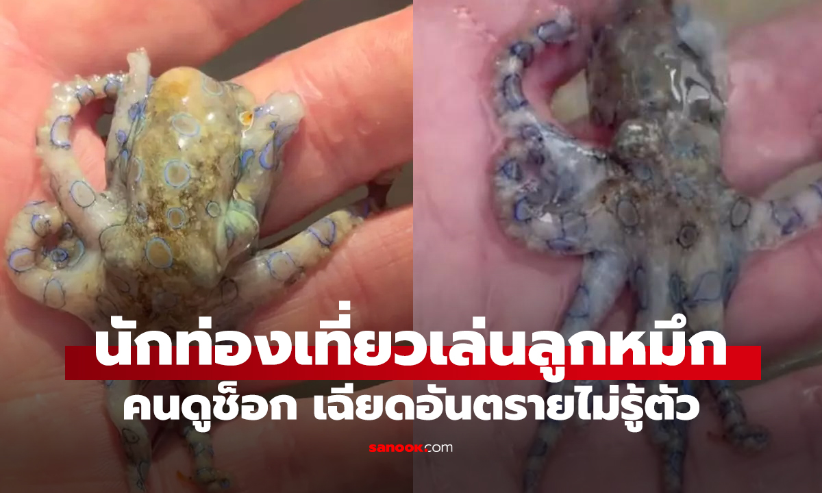 นทท.อังกฤษถ่ายคลิปเล่นกับ 