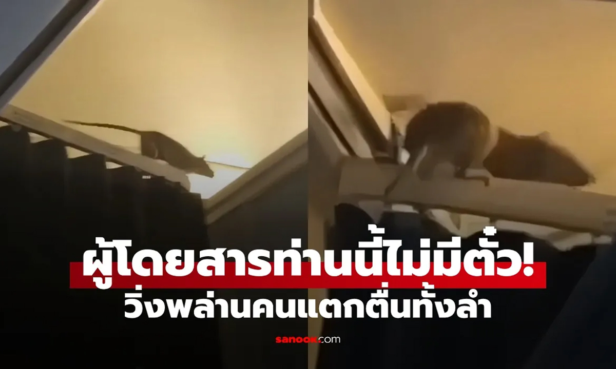 แตกตื่นทั้งลำ 