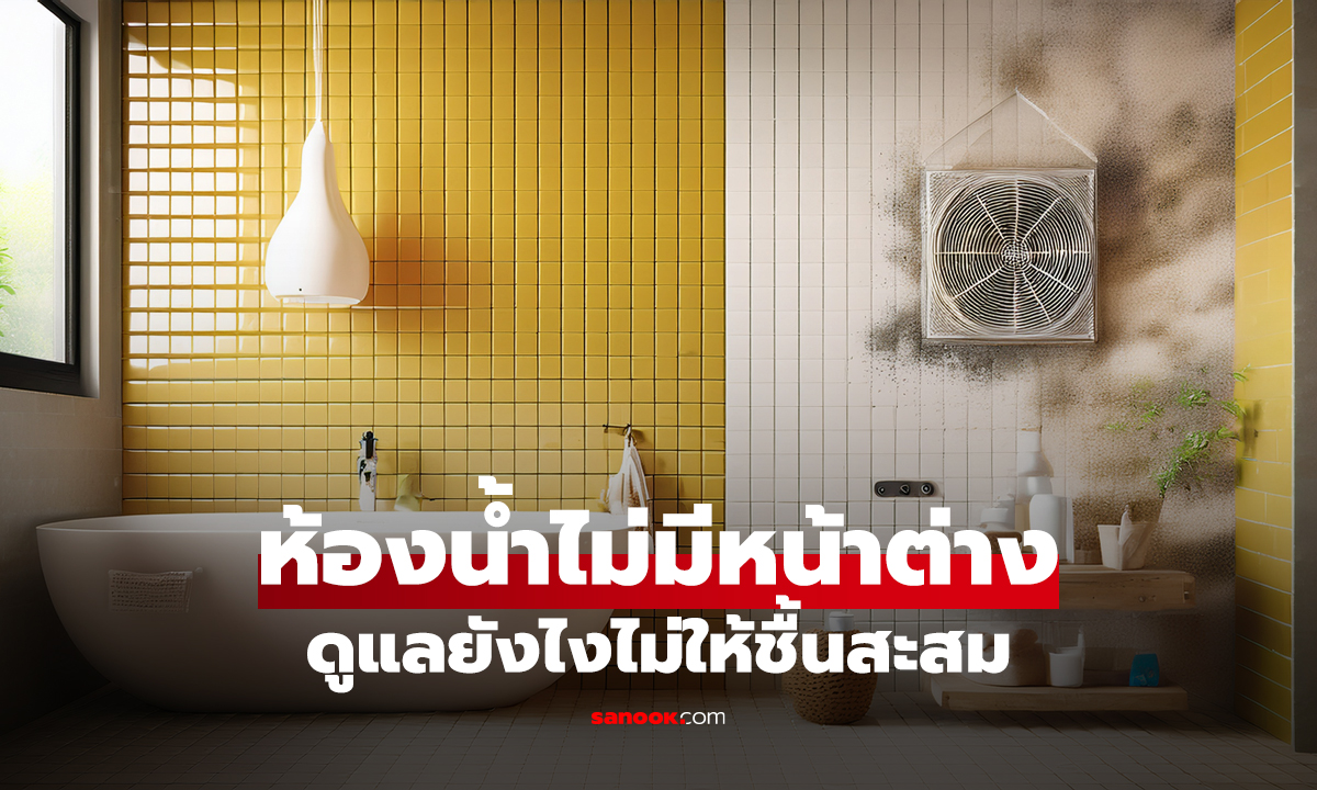 ห้องน้ำไม่มีหน้าต่าง ดูแลยังไงไม่ให้ชื้นสะสม ลดกลิ่นอับ และเชื้อรา