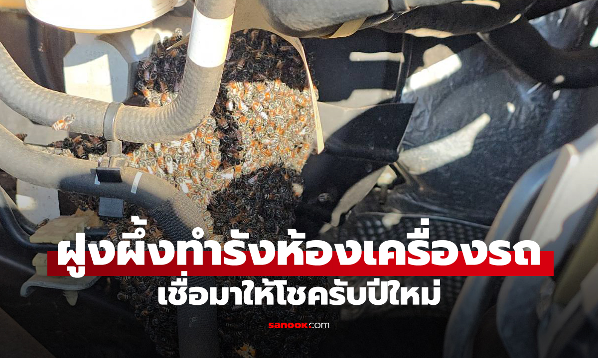 ทึ่ง! "ฝูงผึ้ง" นับหมื่นอพยพทำรังในเครื่องยนต์รถกระบะ เชื่อมาให้โชครับปีใหม่