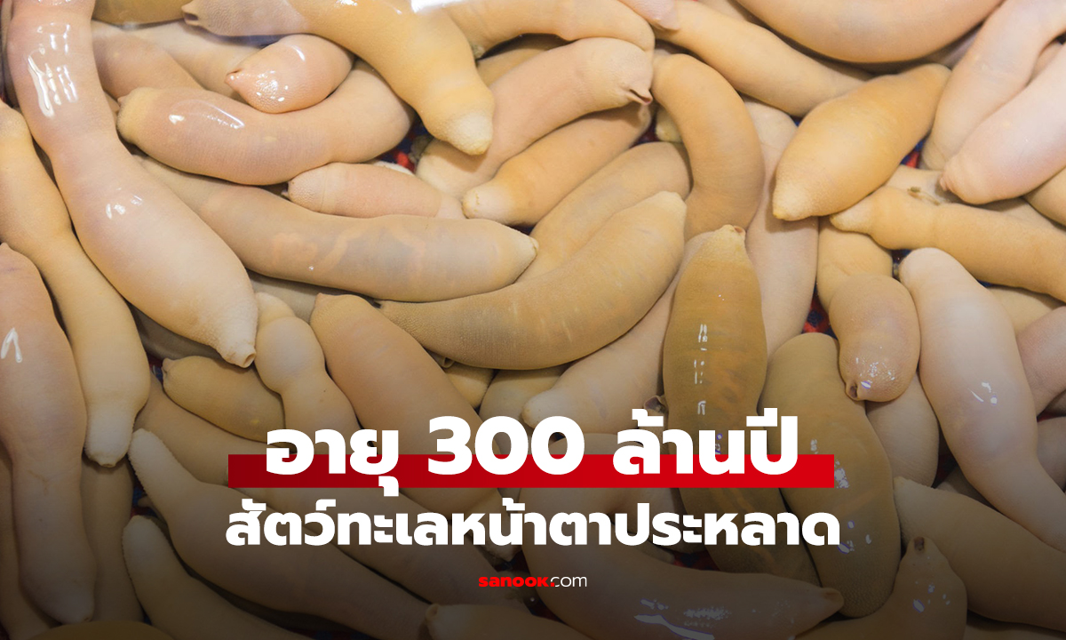 อายุ 300 ล้านปี สัตว์ทะเลหน้าตาประหลาด