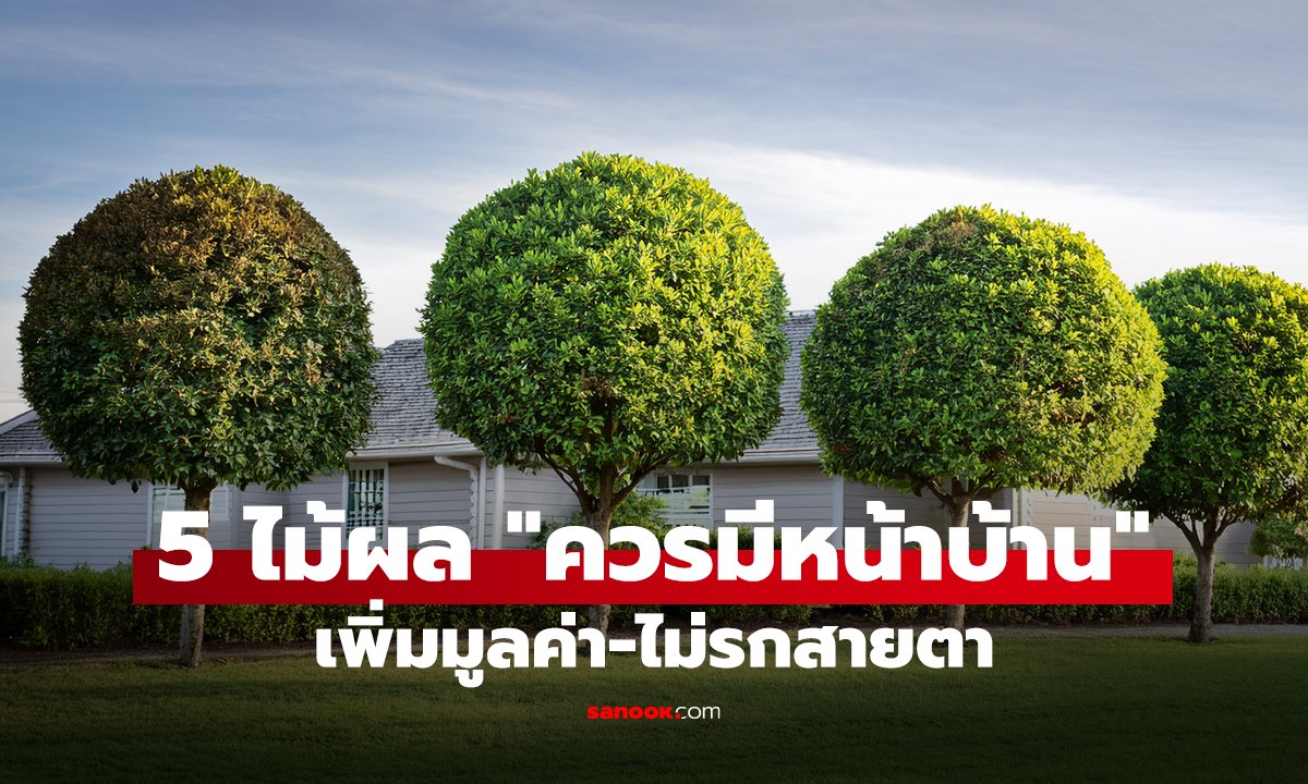 คลิป 5 ไม้ผล 