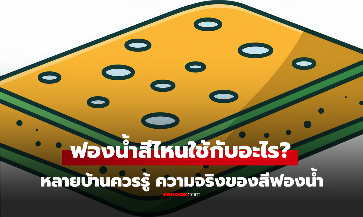 เพิ่งรู้ก็วันนี้! 