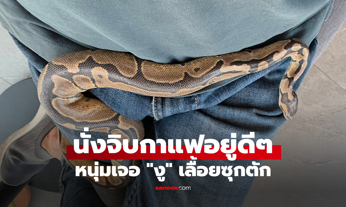 นาทีระทึก! หนุ่มนั่งจิบกาแฟอยู่ดีๆ เจอ 