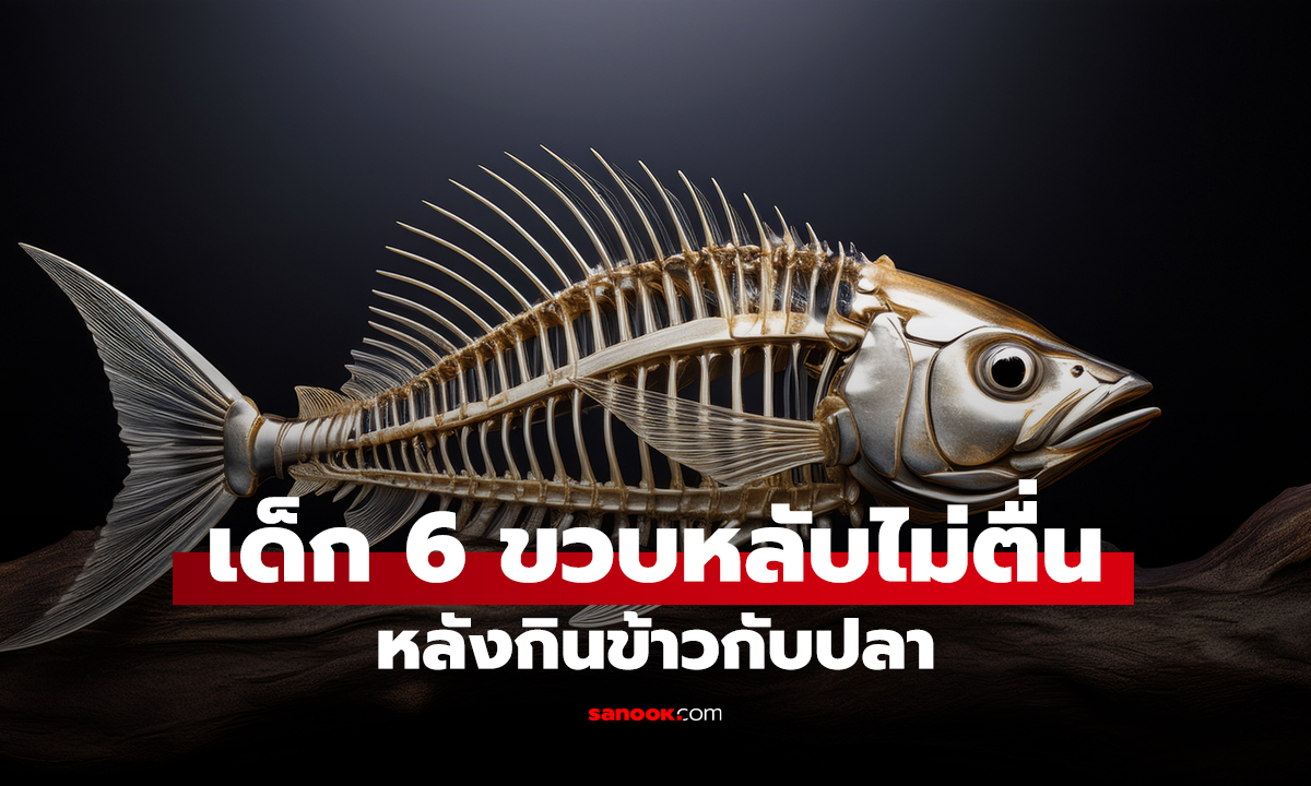 เด็ก 6 ขวบหลับไม่ตื่น หลังกินข้าวกับปลา