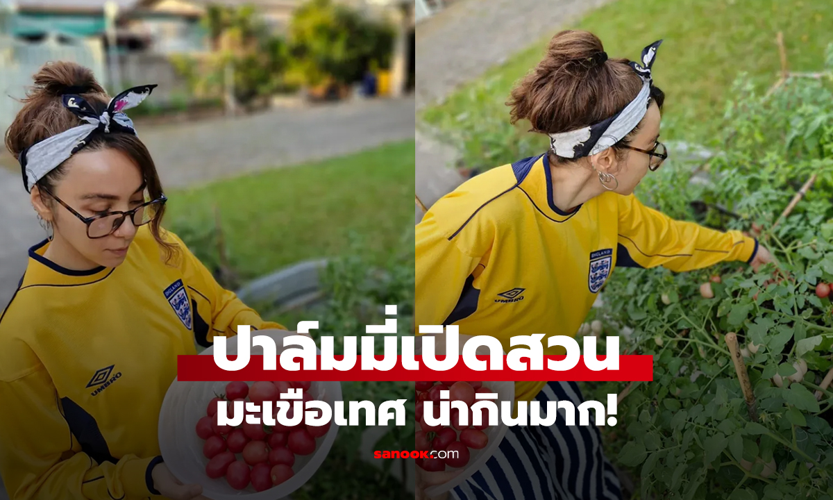 ปาล์มมี่เปิดสวน มะเขือเทศ น่ากินมาก!