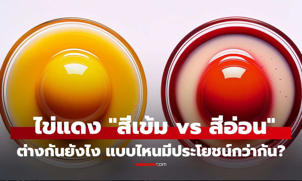 คลิป วิจัยเฉลยแล้ว! ไข่แดง "สีเข้ม vs สีอ่อน" ต่างกันยังไง แบบไหนมีประโยชน์กว่ากัน?