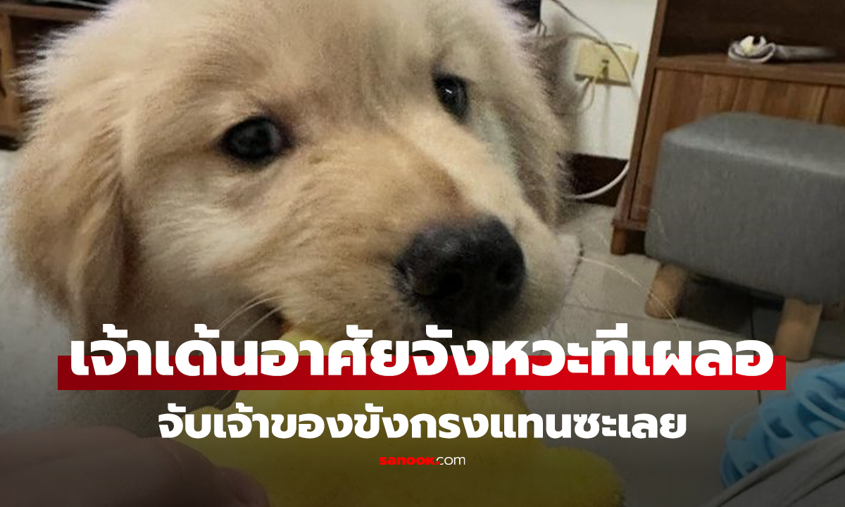 คลิป เตือนภัยทาสหมา! เจ้าเด้นอาศัยจังหวะทีเผลอ จับเจ้าของขังกรงแทนซะเลย