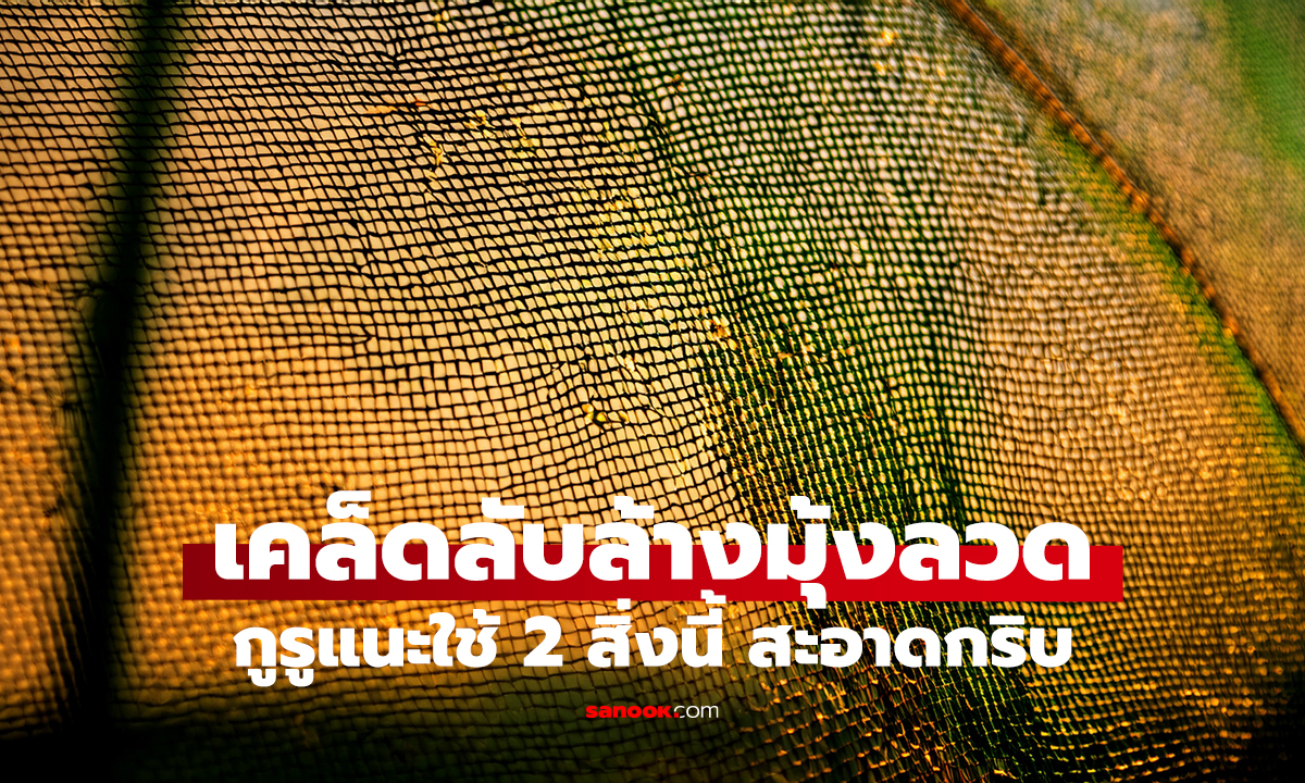 ล้างมุ้งลวดไม่ต้องถอด! ใช้แค่ 2 อย่าง สะอาดกริบเหมือนใหม่