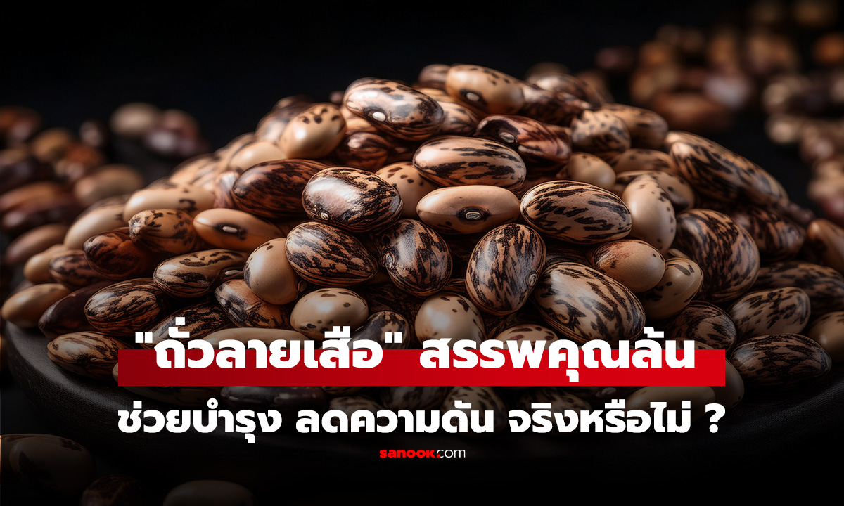 เช็กข่าวชัวร์ : "ถั่วลายเสือ" ช่วยบำรุงสมอง-สายตา ลดความดัน และไขมันในเส้นเลือด?