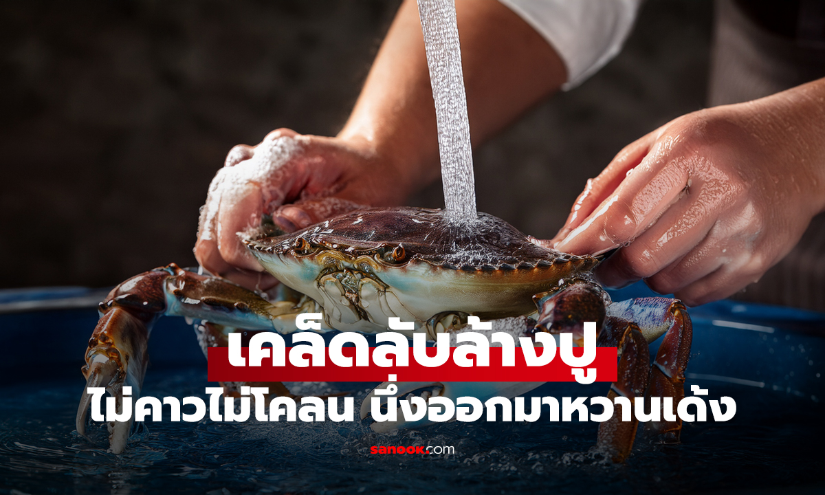 วิธีล้าง 