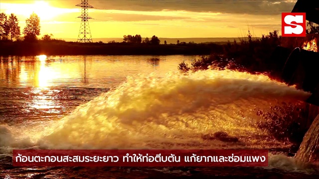 ช่างเตือนแรง อย่าใช้ผงซักฟอกล้างชักโครก