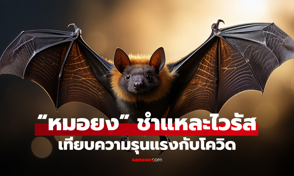 “หมอยง” ชำแหละไวรัส เทียบความรุนแรงกับโควิด