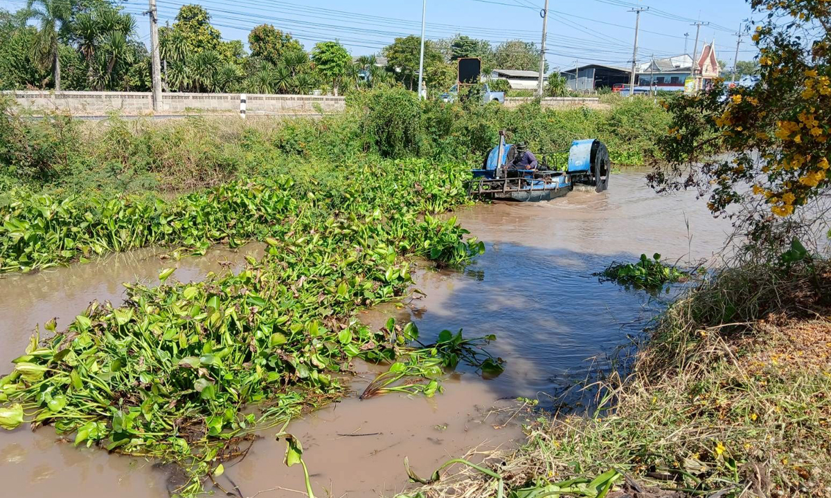 “หยุด เก็บ บ่อย” กรมชลฯ เดินหน้ากำจัดผักตบชวาต่อเนื่อง ลดผลกระทบสิ่งแวดล้อม