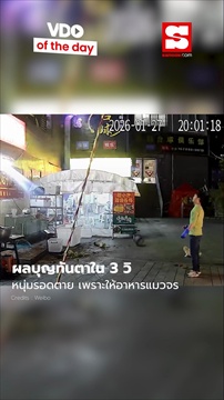ผลบุญทันตาใน-3-วินาที-เจ้าของร้านปลาเผา-รอดตาย-เพราะใจดีให้อาหารแมวจร
