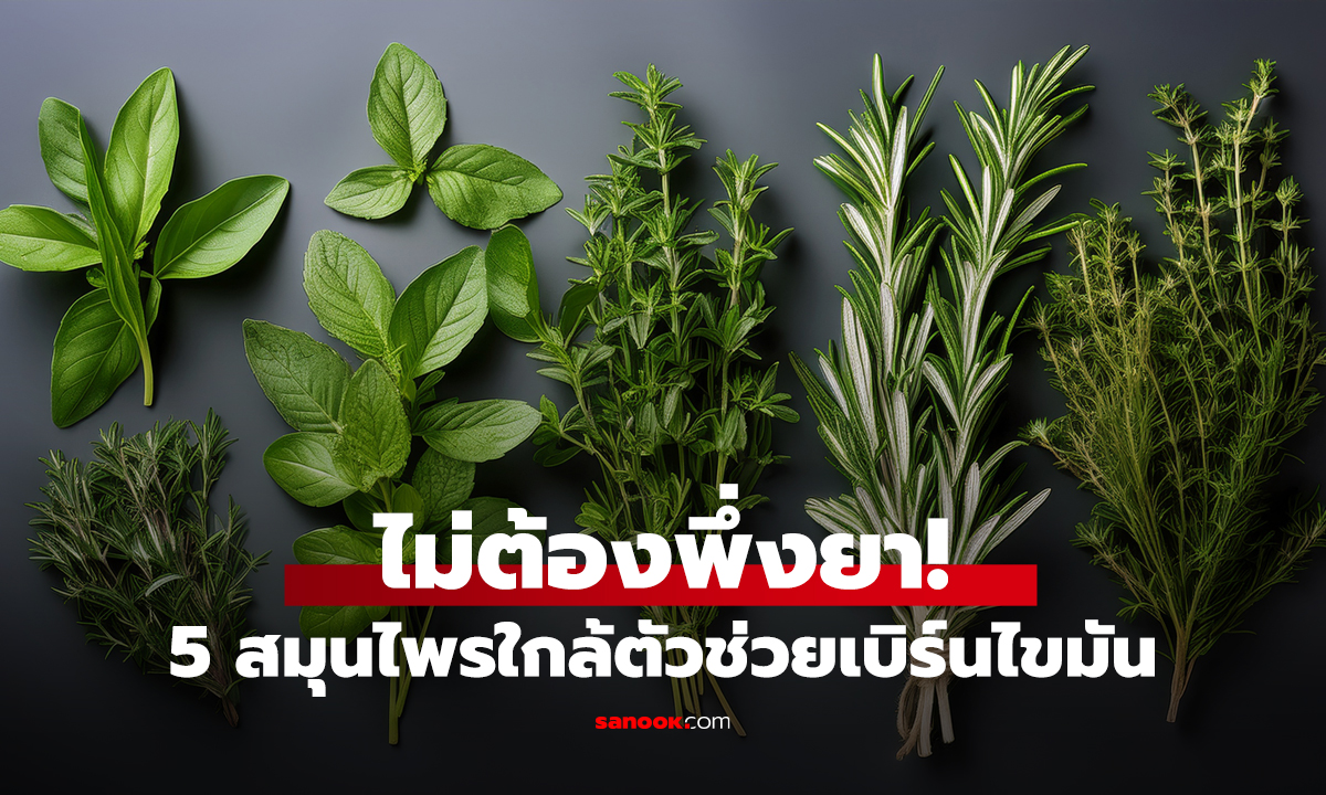 ไม่ต้องพึ่งยา! 5 สมุนไพรใกล้ตัวช่วยเบิร์นไขมัน