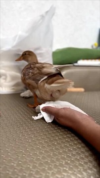 คลิปไวรัลโมเมนต์น่ารัก 