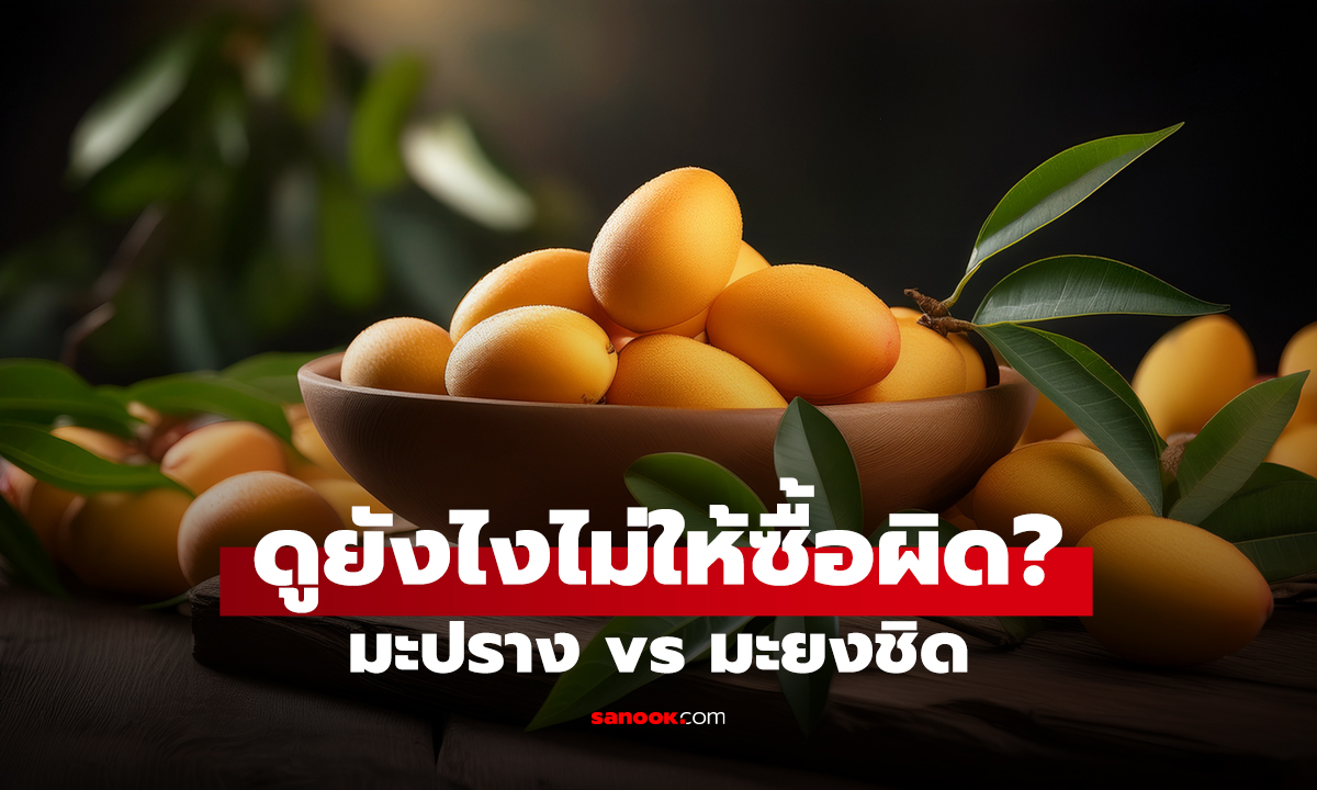 ดูยังไงไม่ให้ซื้อผิด? มะปราง vs มะยงชิด
