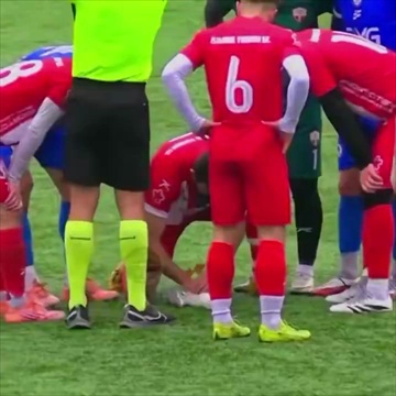 ช็อตปั๊มหัวใจนกนางนวลหลังโดนลูกบอลอัดในสนาม