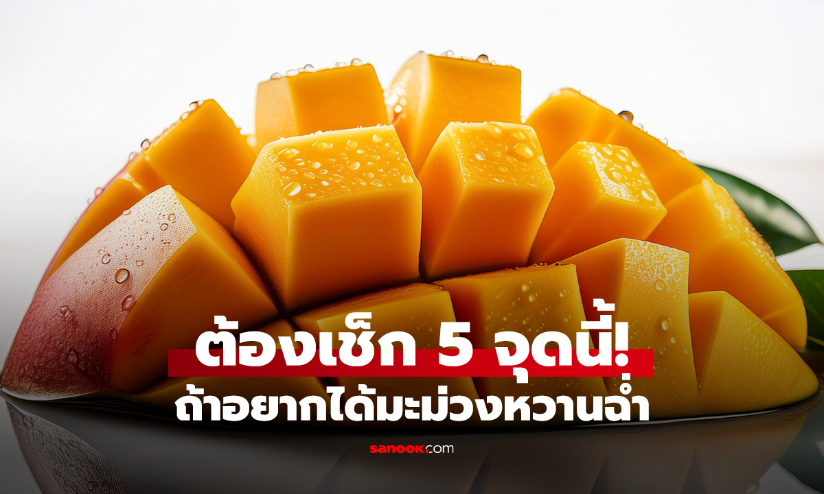 ต้องเช็ก 5 จุดนี้! ถ้าอยากได้มะม่วงหวานฉ่ำ