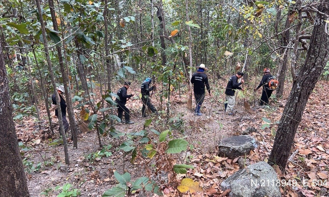 โครงการฯ แม่แฝก–แม่งัดสมบูรณ์ชล ทำแนวกันไฟเชิงรุก ย้ำมาตรการ “ก่อน–เผชิญ–หลัง” ลดความเสี่ยงไฟป่า