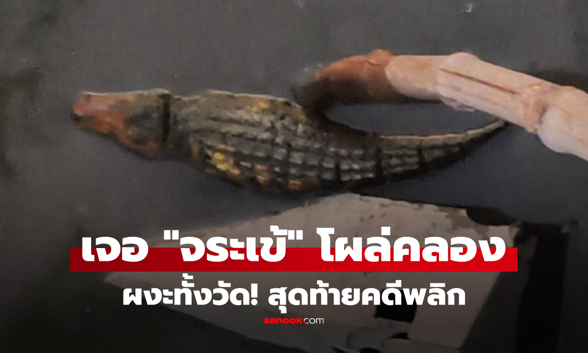 คลิป ผงะทั้งวัด! พระล้างจานหลังกุฏิ เจอ 