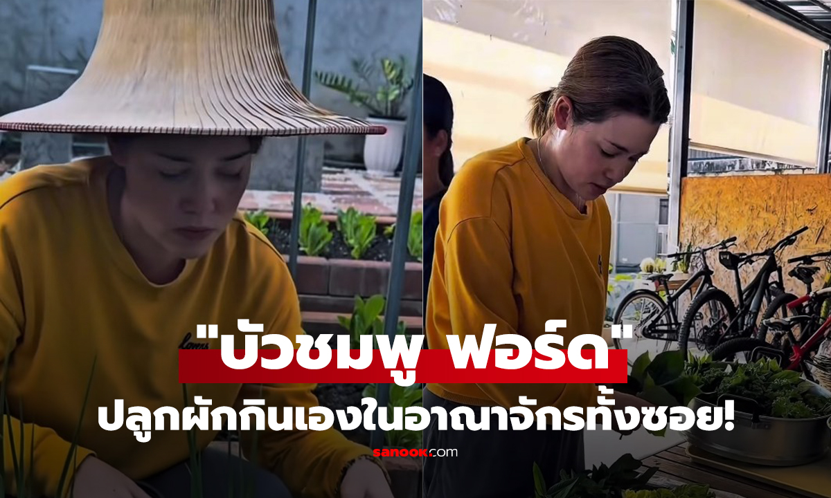 คลิป เรียบง่าย! 