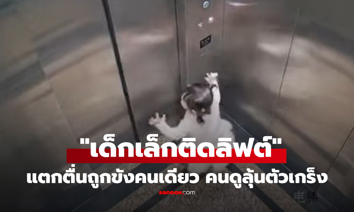 คลิป "เด็กเล็กติดลิฟต์" ฝันร้ายที่แม่ก่อ?! แตกตื่นถูกขังคนเดียว คนดูลุ้นตัวเกร็งจนจบ