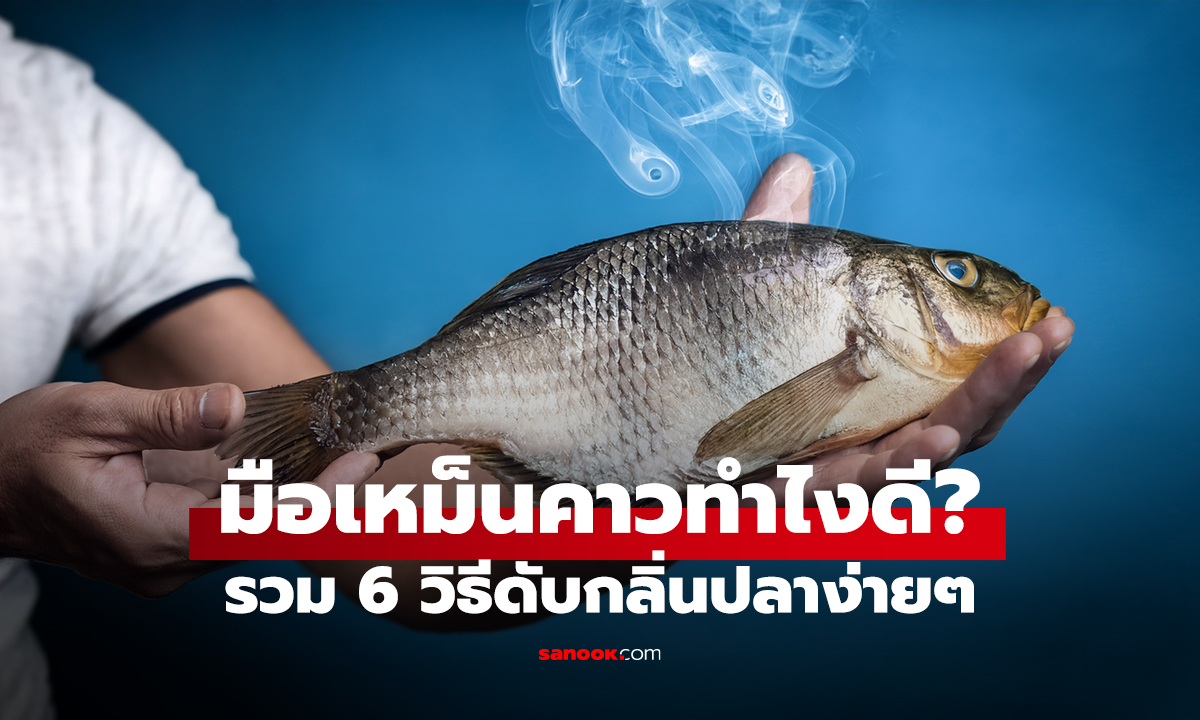 มือเหม็นคาวทำไงดี? รวม 6 วิธีดับกลิ่นปลาง่ายๆ