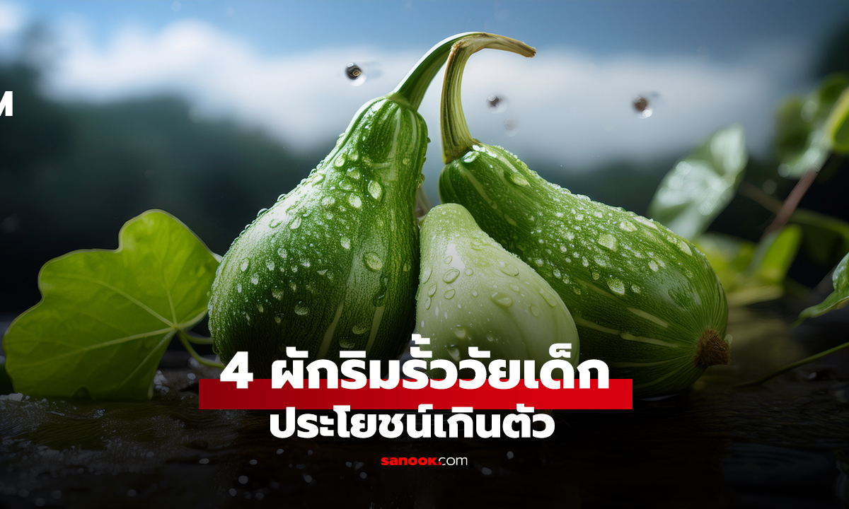 4 ผักริมรั้ววัยเด็ก ประโยชน์เกินตัว