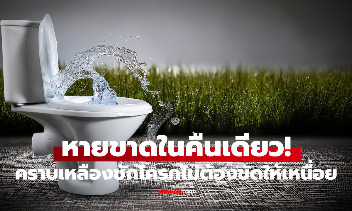 ล้างคราบเหลืองชักโครก หายเกลี้ยง! แค่เทสิ่งนี้ ทิ้งไว้ก็ขาวใหม่