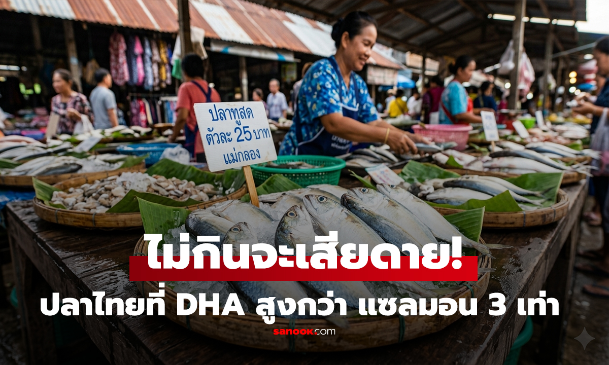 ไม่กินจะเสียดาย! ปลาไทยๆ ที่โปรตีนและ DHA 